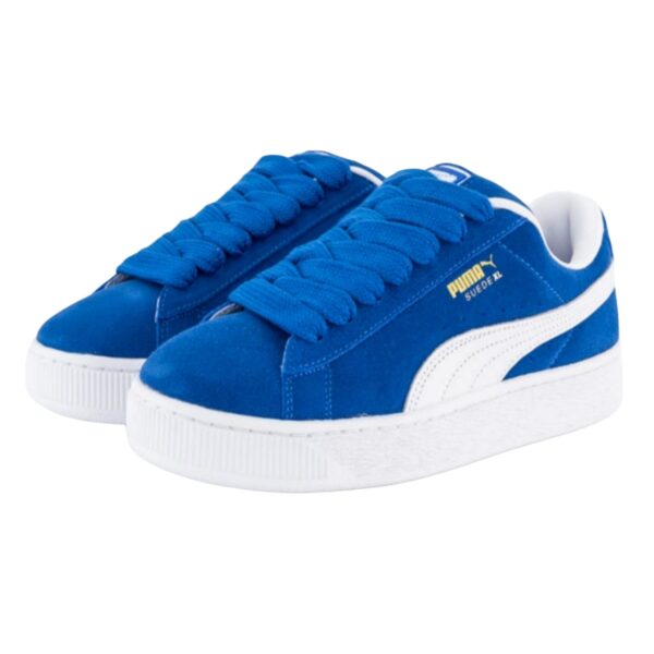 Puma - Image 4